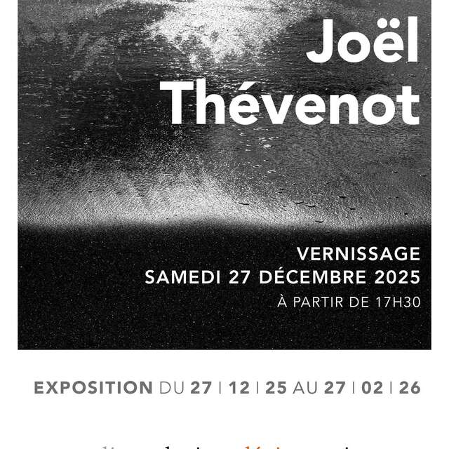 Exposition : Joel Thévenot