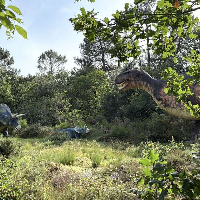 Parc de Préhistoire de Bretagne