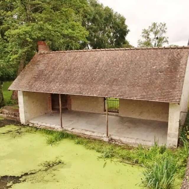 Entre forêt et Beuvron de Seur