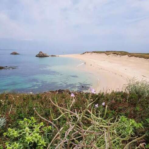 Excursion à Houat