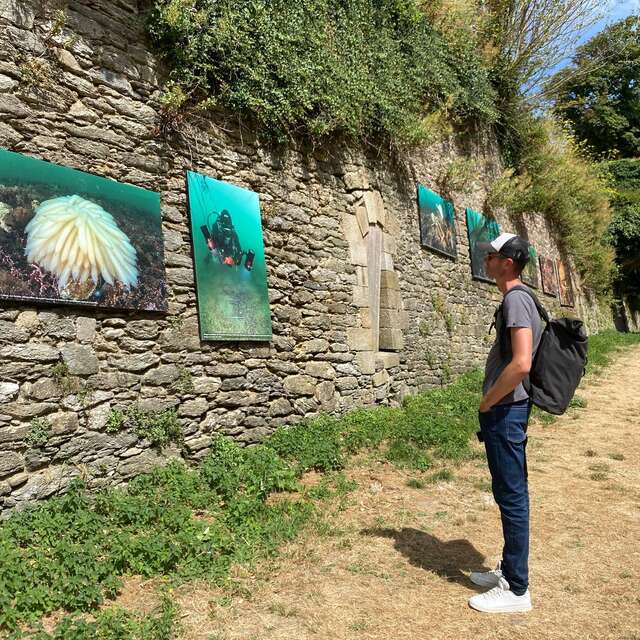 Visite commentée : exposition Erwan Amice : "Skiant Ar Mor "