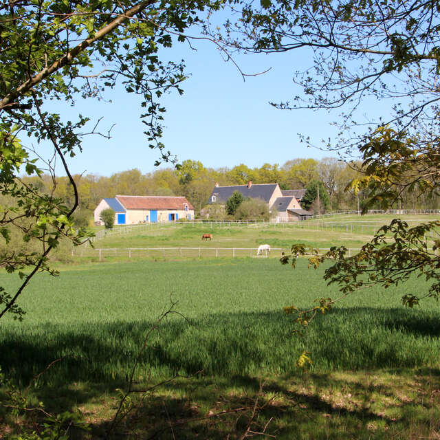 La Cisse et la plaine de Coulanges