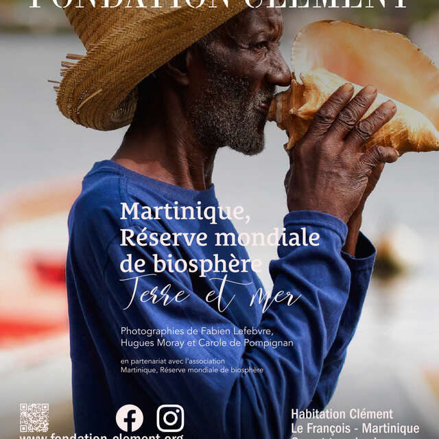 Exposition « Terre et  Mer » (Musée Fondation Clément)