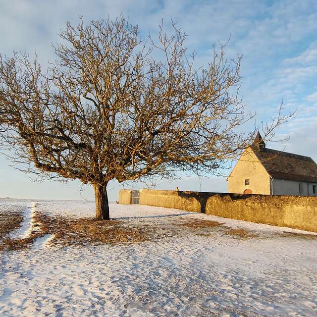 Les petits secrets d'une église rurale