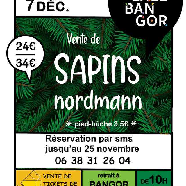 Vente de sapins Nordmann