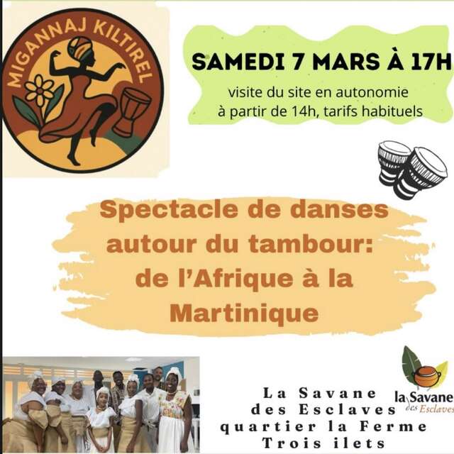 Spectacle de danses autour du tambour (La savane des esclaves)