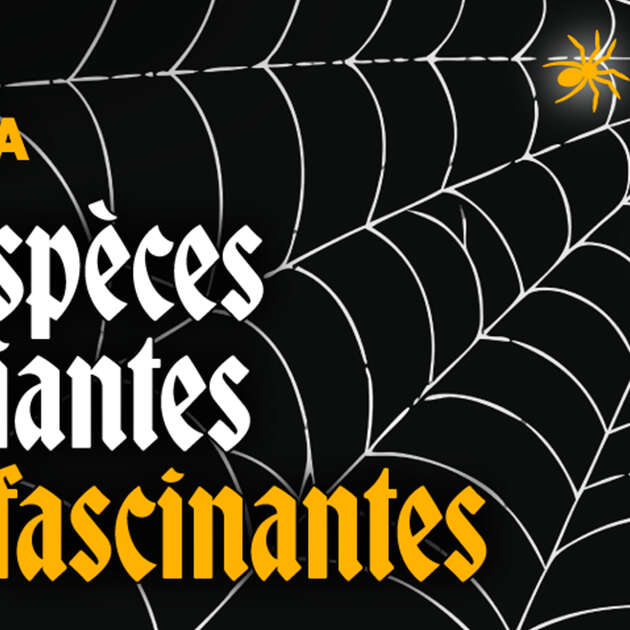 Des espèces terrifiantes mais fascinantes