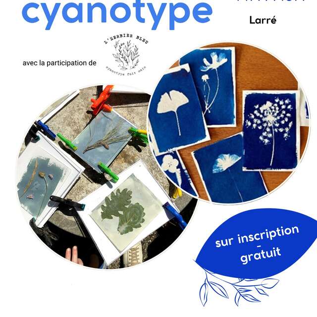 "Mardis de Pays" Atelier cyanotype