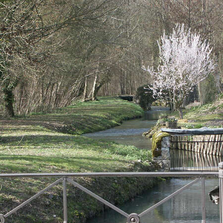 Rando : Le moulin de la Fontaine de Saint-Bohaire