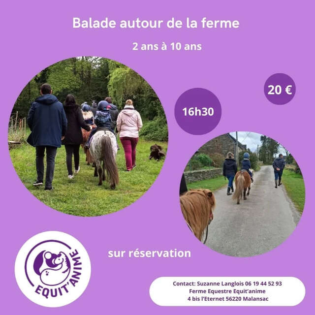 Balades à poney autour de la ferme