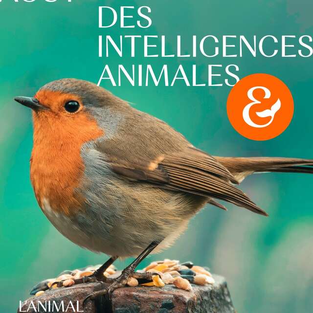 10ème édition des Rencontres des Intelligences Animales
