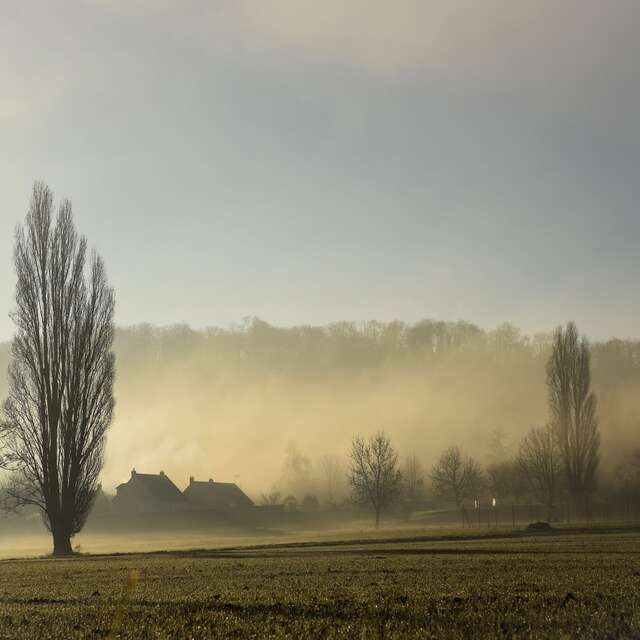 Exposition photographies : Présences