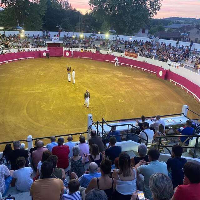 Course landaise