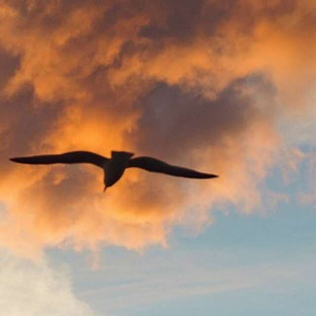 Printemps des poetes : Atelier "Goûtez la poésie"