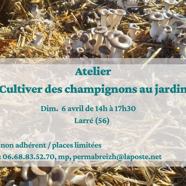 Atelier "Cultivez des champignons au jardin"