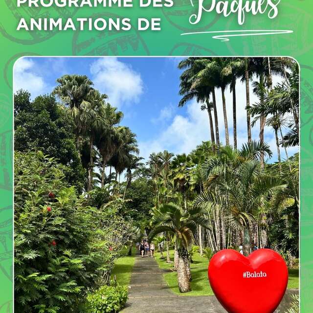 Programme des animations (Le jardin de Balata)