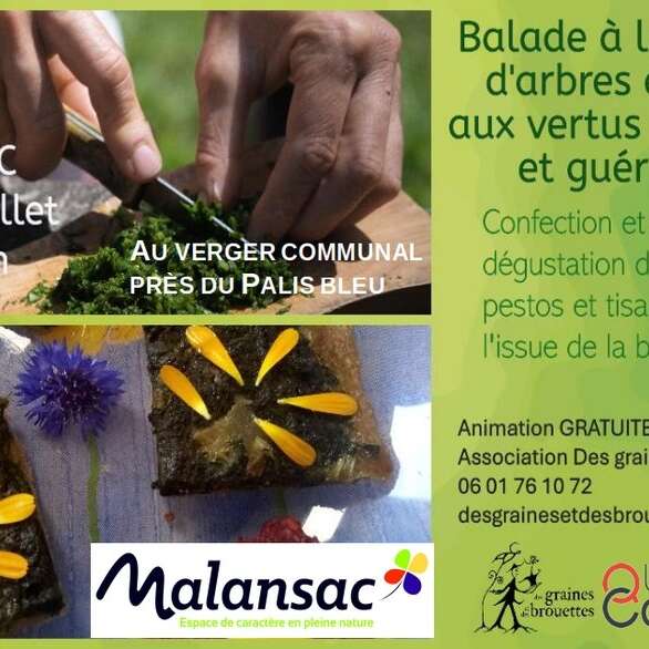 Balade nature