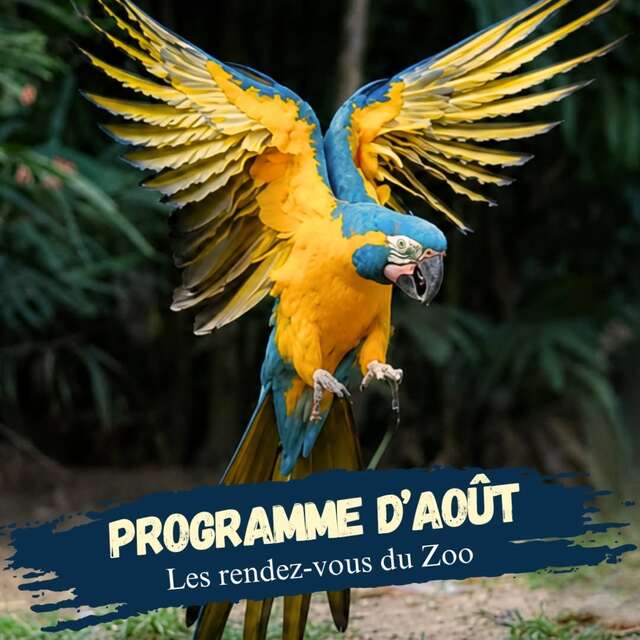 Programme d'Aout (Zoo de Martinique)