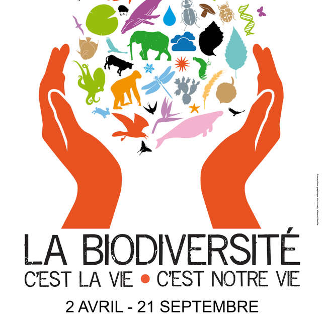 Exposition « La biodiversité, c’est la vie - c’est notre vie »