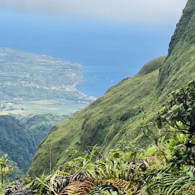 L'Aileron de la Pelée par Trianon