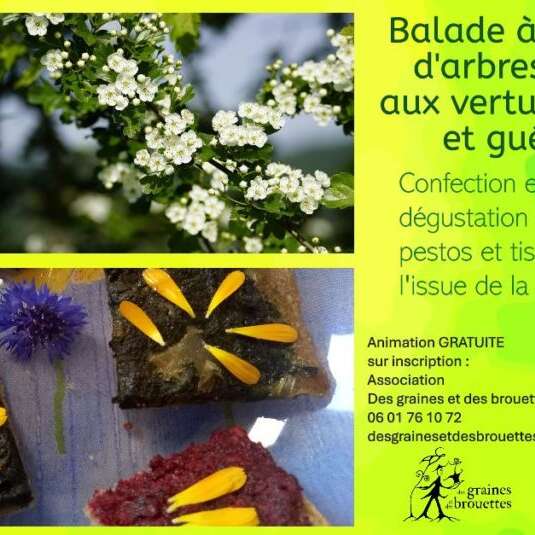 Balade nature