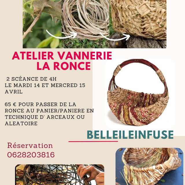 Atelier vannerie : de la ronce au panier