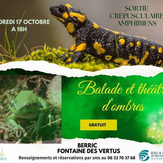 Animation amphibiens