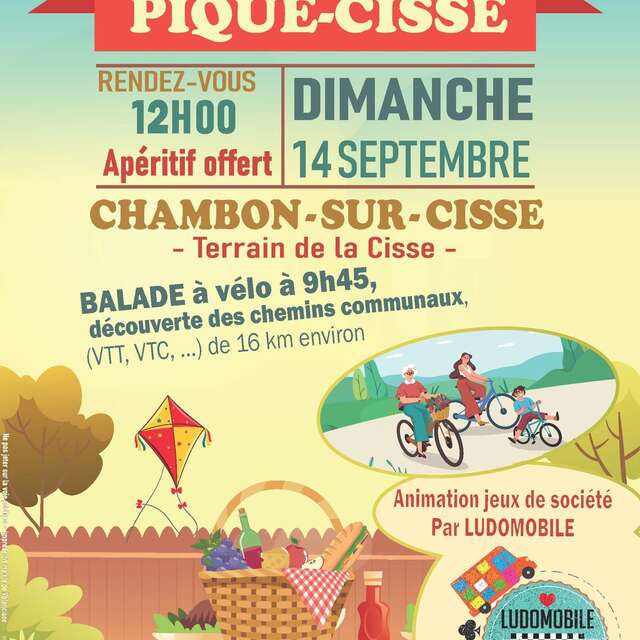 Pique-Cisse