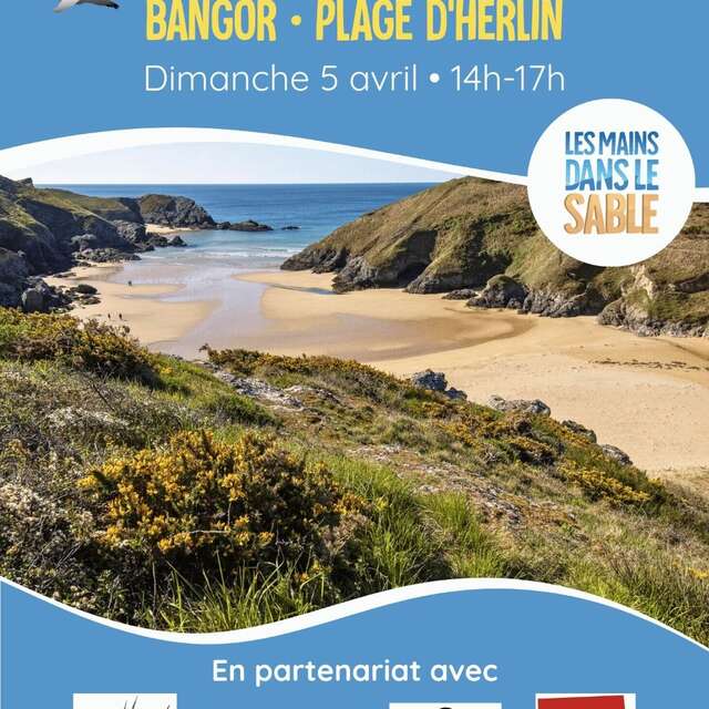 Nettoyage de plage : Herlin