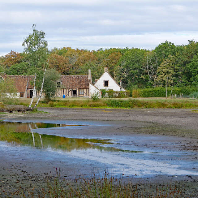 Chemin du verger de Neuvy