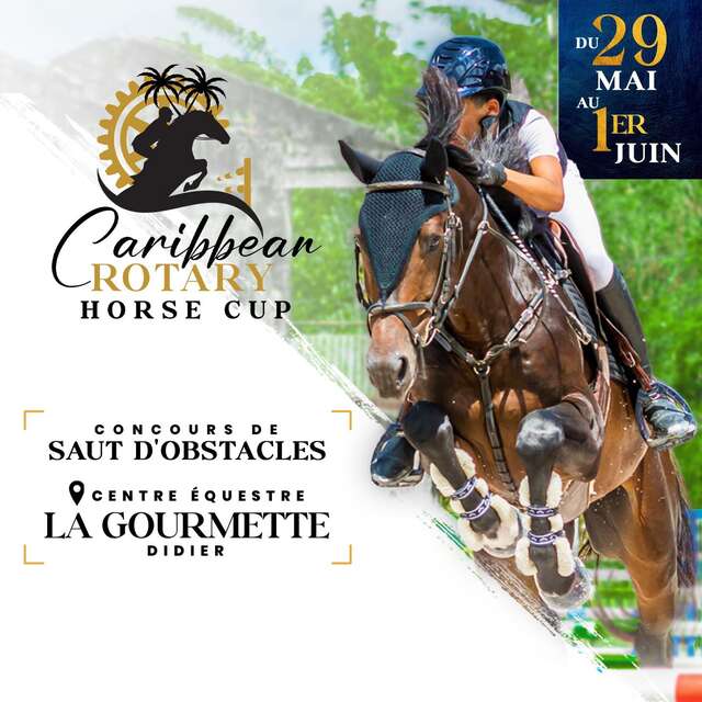 Caribbean Rotary Horse Cup