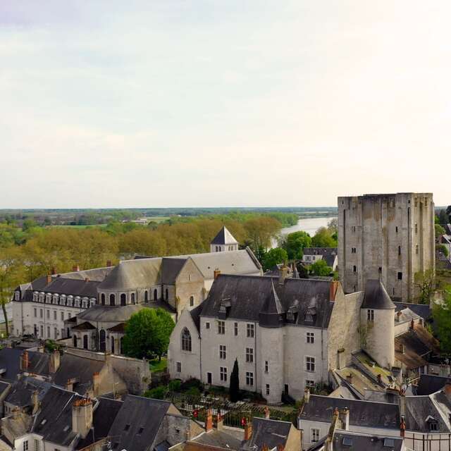 Château de Beaugency