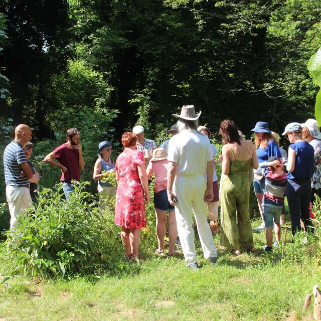 "Mardis de Pays" Balade nature & atelier pesto
