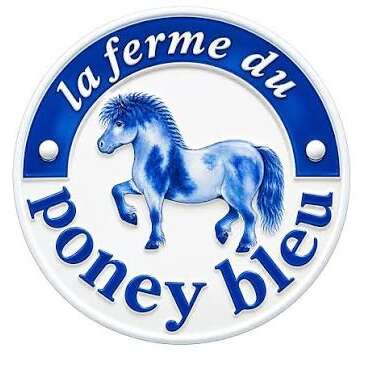 La Ferme du Poney Bleu, Équitation