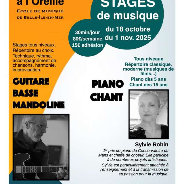 Stage de musique : La Puce à l'Oreille