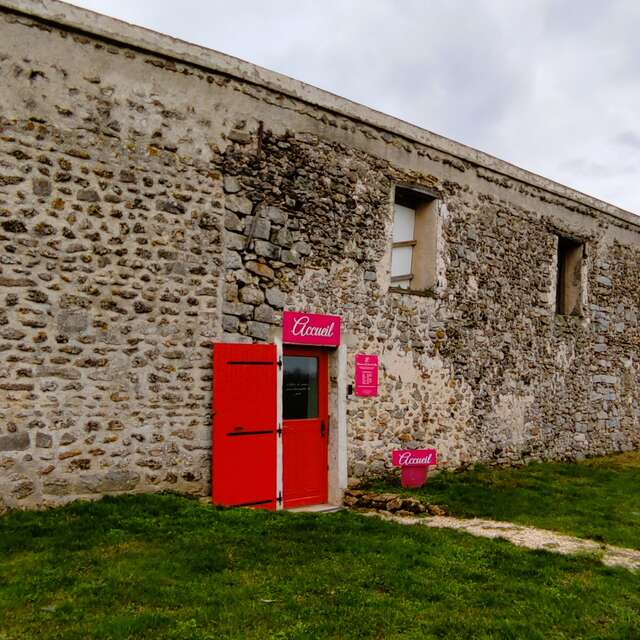 La cabane de l'étoile