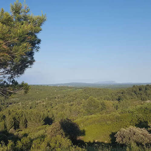 Randonnée à Aurons