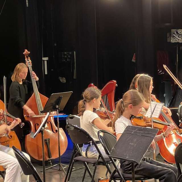 Soirée des ensembles à cordes