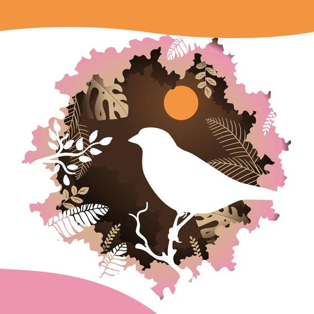 Balade numérique : à la découverte de la nature