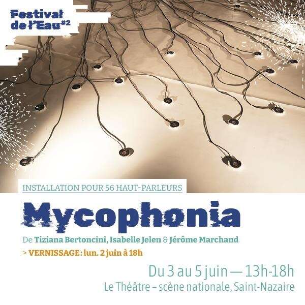 Installations sonores - Mycophonia, Ni les femmes, Faire Friche