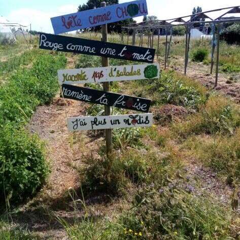 Créer un refuge pour la biodiversité dans votre jardin - Partage Vert