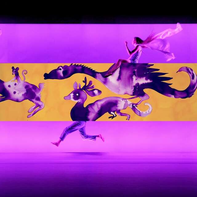 Des chimères dans la tête, Ballet du Nord, CCN & Vous