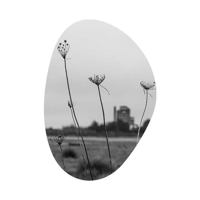Expo photo « Les Forges de Trignac, entre mémoire et métamorphose »