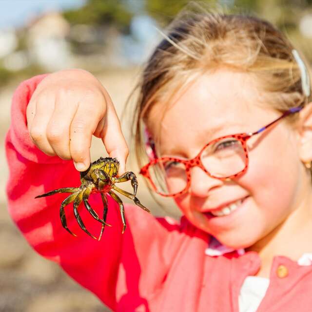Chasse aux trésors sur la plage, sortie à la plage avec Échos nature