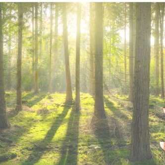 Matinée contée 3-6 ans