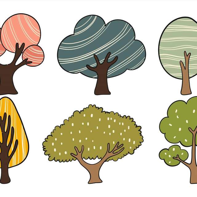 Sortie nature « Arbres-Mondes »