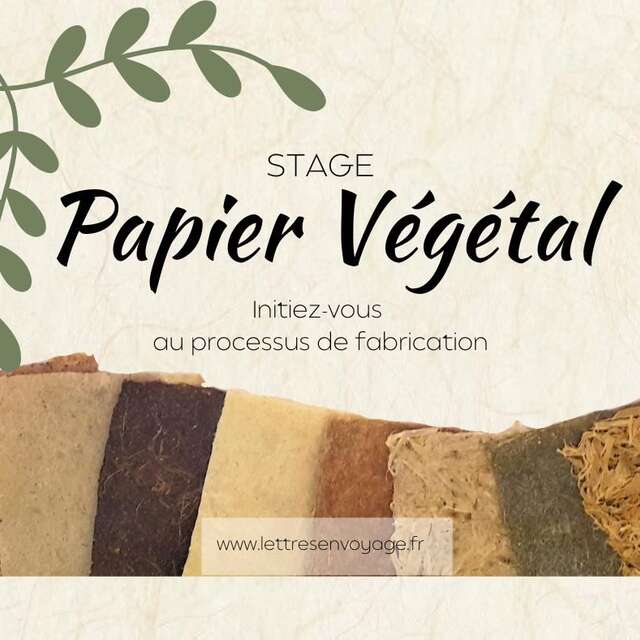 Fabrication de papier végétal à partir de la cueillette sauvage