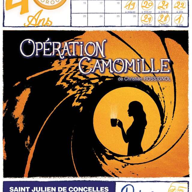 Permanence billetterie pour la pièce Opération camomille