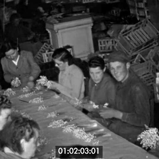 [Images d'Archives] Cultiver la terre en Pays Nantais (1955-1972)