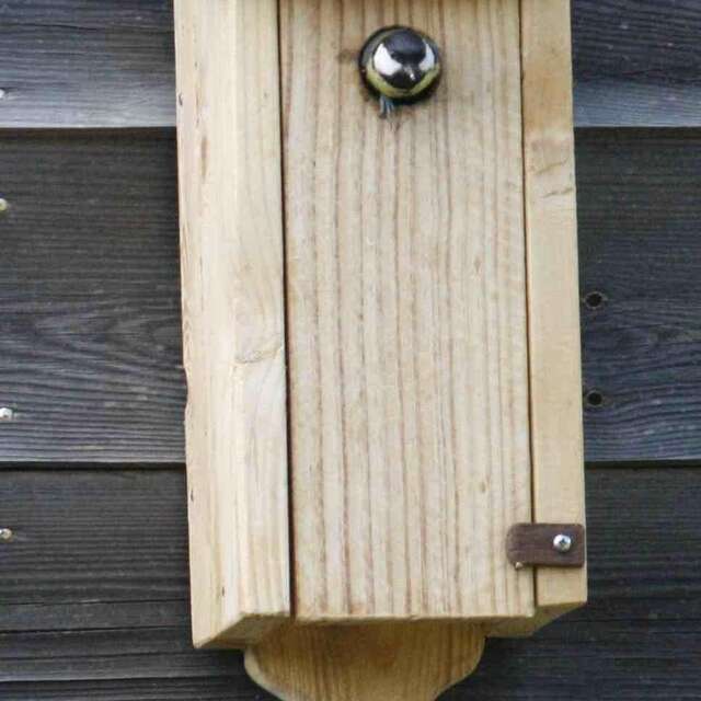 Atelier fabrication d'un nichoir à Mésanges